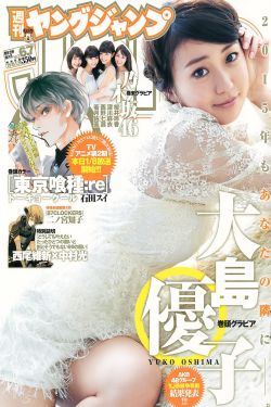 电视剧.三大队